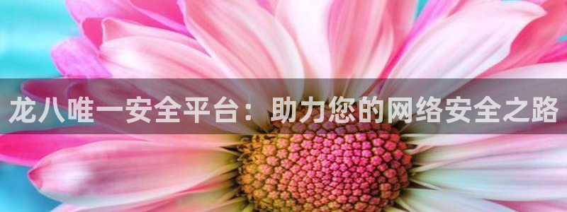 jdb电子3登陆：龙八唯一安全平台：助力您的网络安全之路