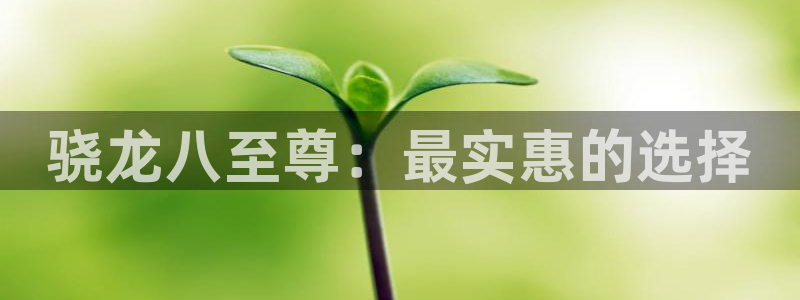 jdb电子集团：骁龙八至尊：最实惠的选择