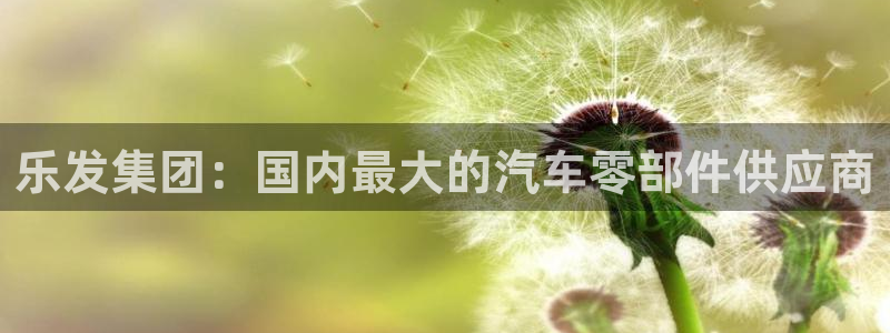 jdb电子5招商：乐发集团：国内最大的汽车零部件供应商