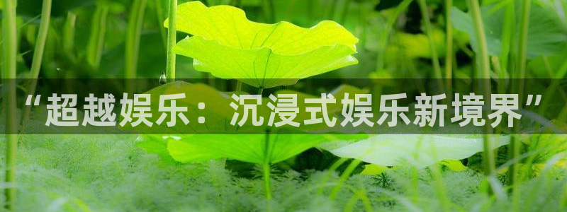 jdb电子2登录地址：“超越娱乐：沉浸式娱乐新境界”