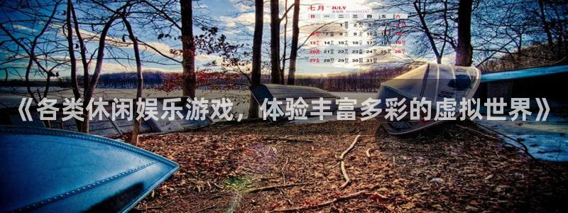 jdb电子4登录：《各类休闲娱乐游戏，体验丰富多彩的虚拟世界》