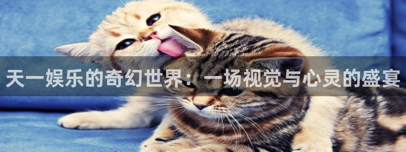 jdb电子体育平台总代理：天一娱乐的奇幻世界：一场视觉与心灵的盛宴