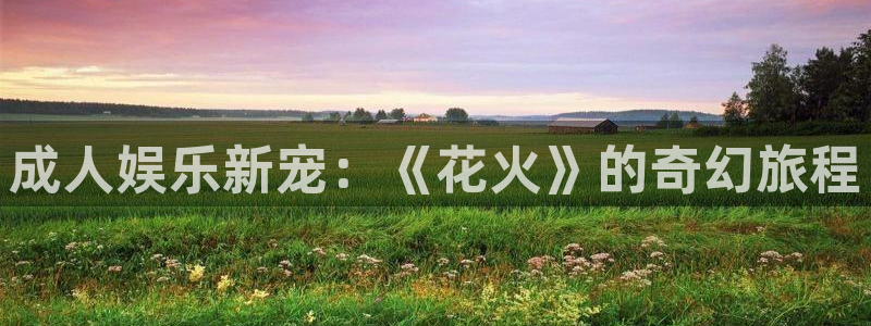 上海jdb电子汽车电子有限公司：成人娱乐新宠：《花火》的奇幻旅程